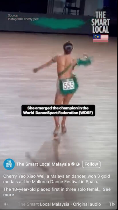 The Smart Local Malaysia (FB Reel)